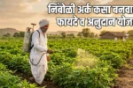 शेतीसाठी कडूनिंब आणि निंबोळी अर्क बनवण्याची कृती