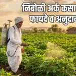 शेतीसाठी कडूनिंब आणि निंबोळी अर्क बनवण्याची कृती