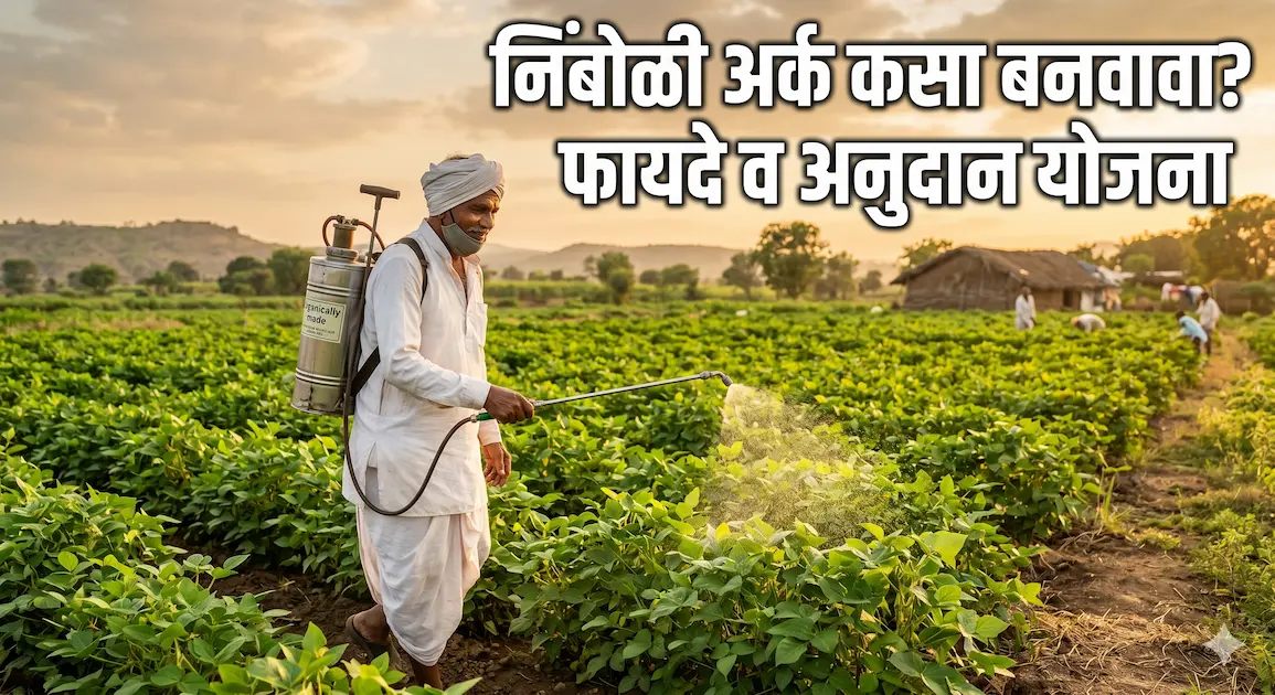 शेतीसाठी कडूनिंब आणि निंबोळी अर्क बनवण्याची कृती
