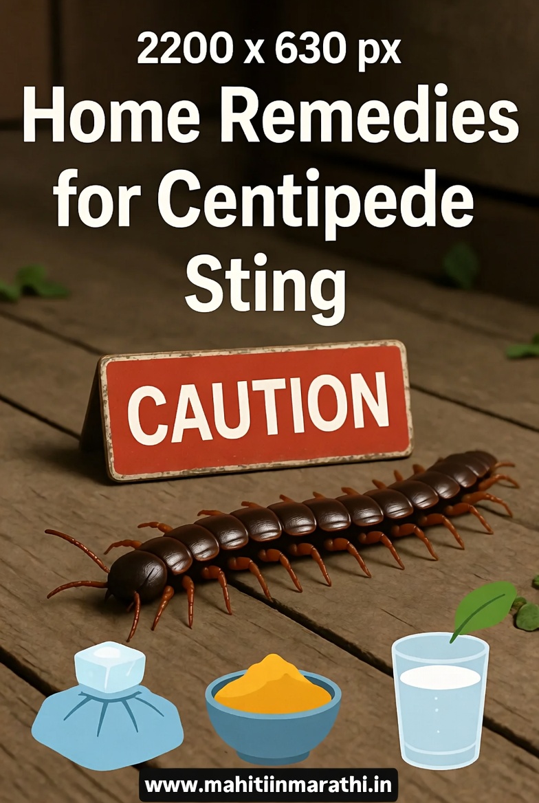 गोम चावली तर काय होते 1 गोम चावल्यास घरगुती उपाय - बर्फ शेक आणि नैसर्गिक इलाज इमेज | www.mahitiinmarathi.in