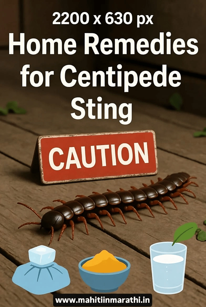 गोम चावली तर काय होते 1 गोम चावल्यास घरगुती उपाय - बर्फ शेक आणि नैसर्गिक इलाज इमेज | www.mahitiinmarathi.in