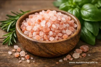 सैंधव मीठ Rock Salt फायदे आणि वापर: साध्या मिठापेक्षा का आहे श्रेष्ठ? सविस्तर माहिती 4 सैंधव मीठ Rock Salt