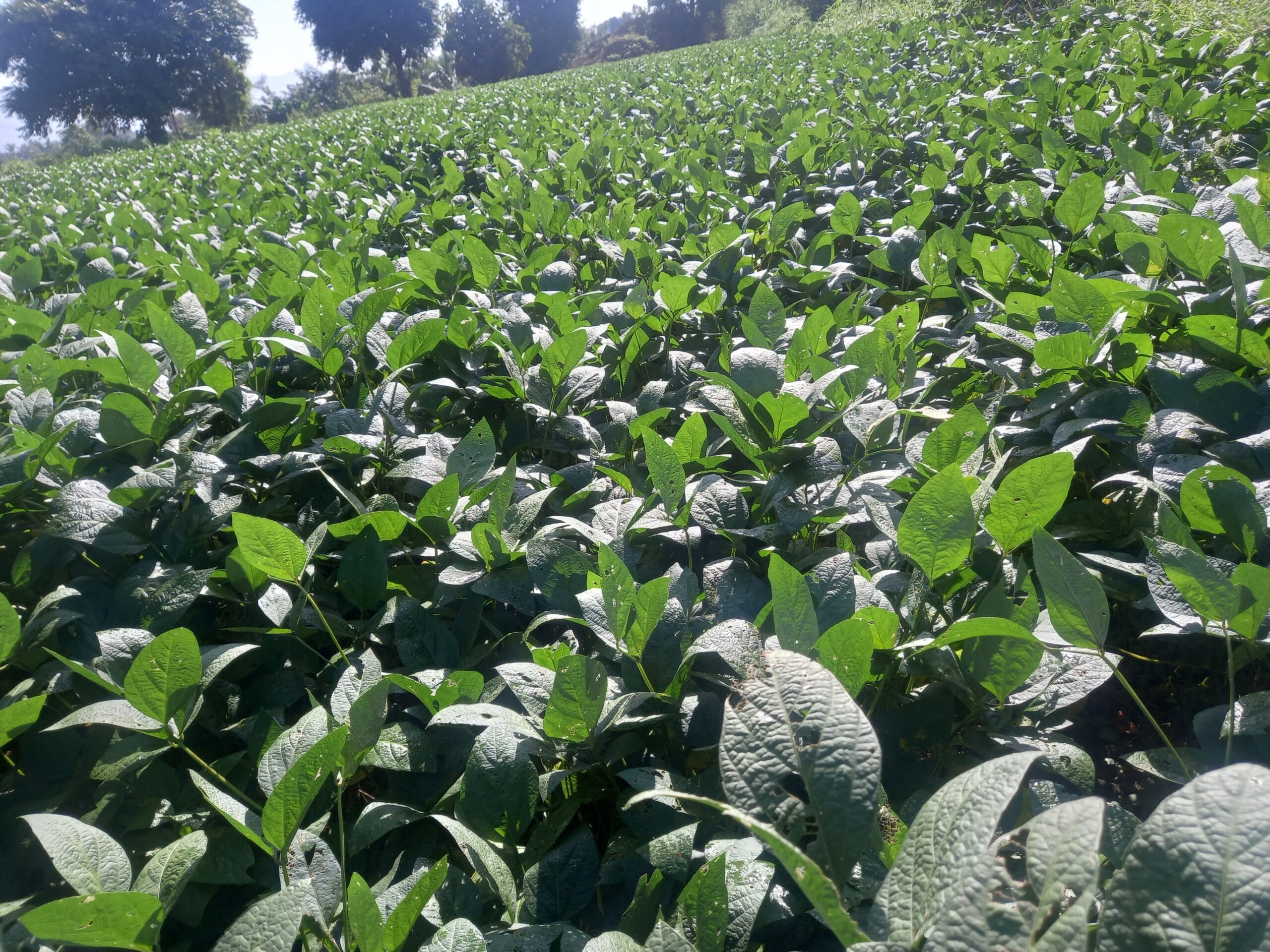 20240918 085207 scaled