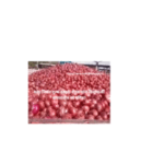 resized image 200x200 1