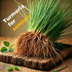 उन्हाळ्यात त्वचेसाठी वाळा का आहे रामबाण उपाय? 3 turmeric