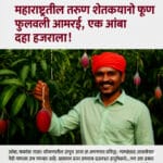 महाराष्ट्रातील शेतकऱ्याचा चमत्कार! एक आंबा १०,००० रुपयांचा! 2 Mango