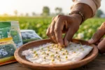 बियाणे उगवणक्षमता तपासणी – घरी ओल्या कापडावर बियाणे