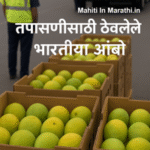 भारताचे आंबे अमेरिकेने नाकारले