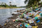प्लॅस्टिक प्रदूषणामुळे नदी किनारी साचलेला प्लॅस्टिक कचरा दर्शवणारे छायाचित्र