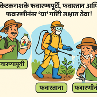 किटकनाशके फवारण्यापूर्वी फवारताना आणि फवारणीनंतर लक्षात ठेवाव्यात अशा महत्त्वाच्या गोष्टी 1