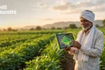 गुगल AI API शेती प्रकल्पामुळे सॅटेलाइट डेटा वापरून भारतीय शेतकऱ्याचं पीक निरीक्षण