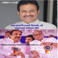 शरद पवारांची नवी खेळी जयंत पाटील यांचा राजीनामा शशिकांत शिंदे नवे प्रदेशाध्यक्ष