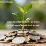 नाण्यांच्या ढिगाऱ्यातून उगवणारे एक लहान हिरवे रोपटं, जे गुंतवणुकीतून होणारी आर्थिक वाढ आणि चक्रवाढ व्याजाचे प्रतीक आहे.