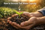 शेतातील मातीची जलधारण क्षमता आणि ओलावा वाढवण्याचे नैसर्गिक उपाय (How to Increase Soil Water Capacity