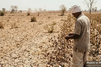 महाराष्ट्र दुष्काळ 2026: 265 तालुके जाहीर, पंचनामे व मदत याबाबत संपूर्ण माहिती 4 महाराष्ट्र दुष्काळ 2026 अंतर्गत 265 तालुक्यांत ट्रिगर-1 जाहीर, कोरडे शेत आणि शेतकरी