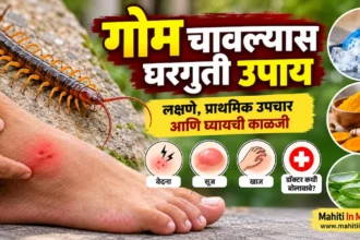 गोम चावल्यास घरगुती उपाय, लक्षणे आणि प्राथमिक उपचार यांची माहिती