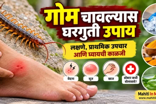 गोम चावल्यास घरगुती उपाय, लक्षणे आणि प्राथमिक उपचार यांची माहिती