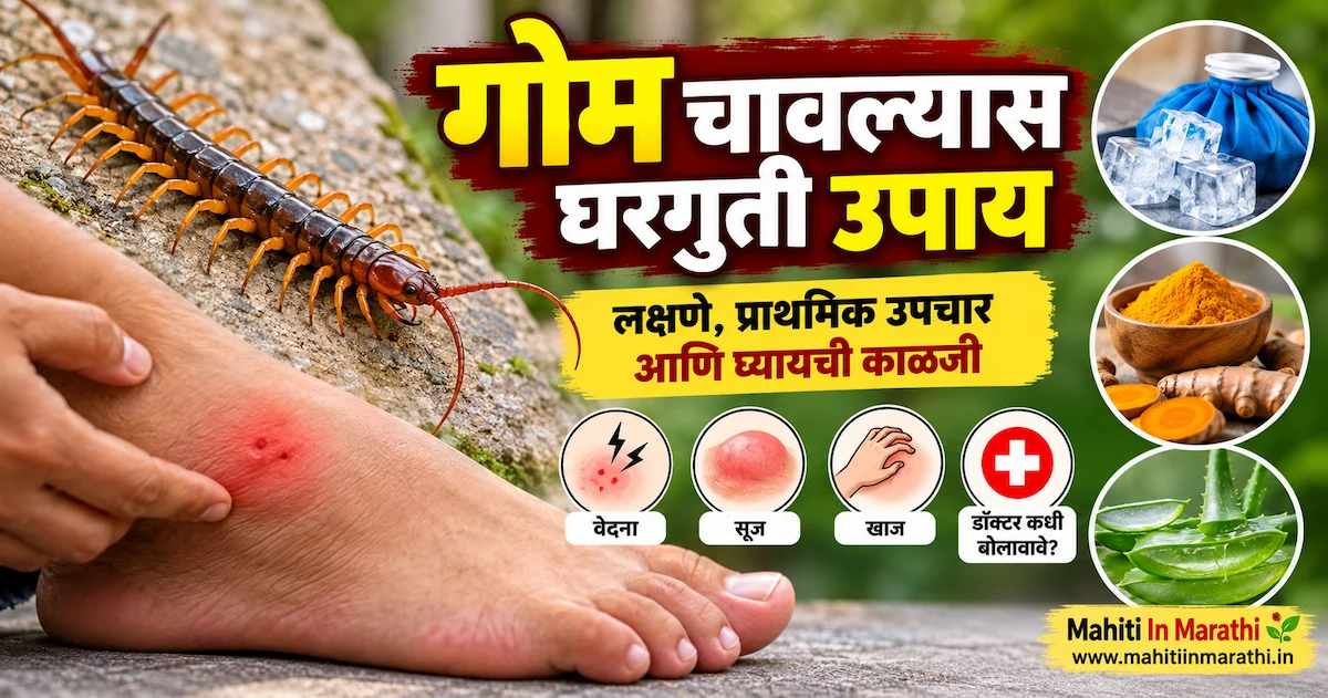 गोम चावल्यास घरगुती उपाय, लक्षणे आणि प्राथमिक उपचार यांची माहिती